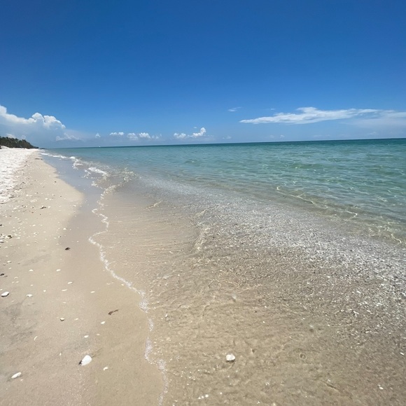 Meet your Posher, Lauren - Picture 2 of 2